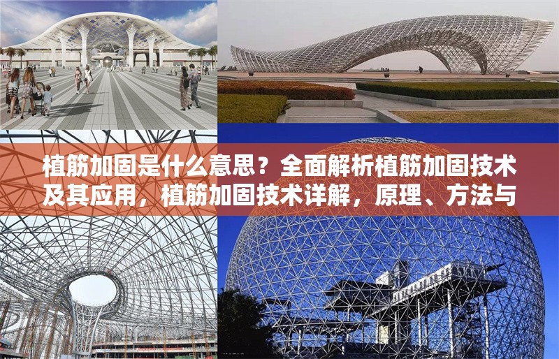 植筋加固是什么意思？全面解析植筋加固技術及其應用，植筋加固技術詳解，原理、方法與應用場景全解析