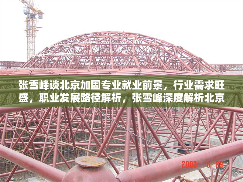 張雪峰談北京加固專業(yè)就業(yè)前景，行業(yè)需求旺盛，職業(yè)發(fā)展路徑解析，張雪峰深度解析北京加固專業(yè)就業(yè)前景，行業(yè)需求旺盛與職業(yè)發(fā)展路徑