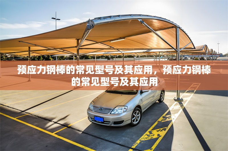 預(yù)應(yīng)力鋼棒的常見型號及其應(yīng)用，預(yù)應(yīng)力鋼棒的常見型號及其應(yīng)用