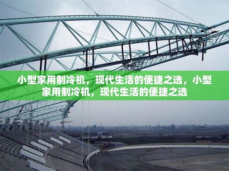小型家用制冷機，現(xiàn)代生活的便捷之選，小型家用制冷機，現(xiàn)代生活的便捷之選