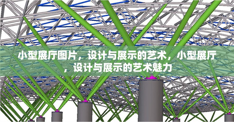 小型展廳圖片，設(shè)計(jì)與展示的藝術(shù)，小型展廳，設(shè)計(jì)與展示的藝術(shù)魅力