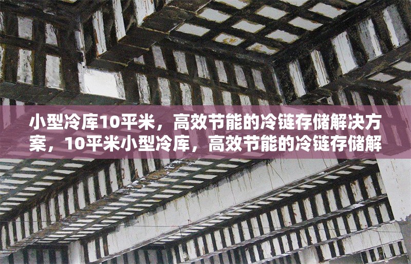 小型冷庫(kù)10平米，高效節(jié)能的冷鏈存儲(chǔ)解決方案，10平米小型冷庫(kù)，高效節(jié)能的冷鏈存儲(chǔ)解決方案