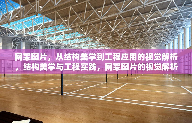 網(wǎng)架圖片，從結(jié)構(gòu)美學(xué)到工程應(yīng)用的視覺(jué)解析，結(jié)構(gòu)美學(xué)與工程實(shí)踐，網(wǎng)架圖片的視覺(jué)解析與應(yīng)用探索