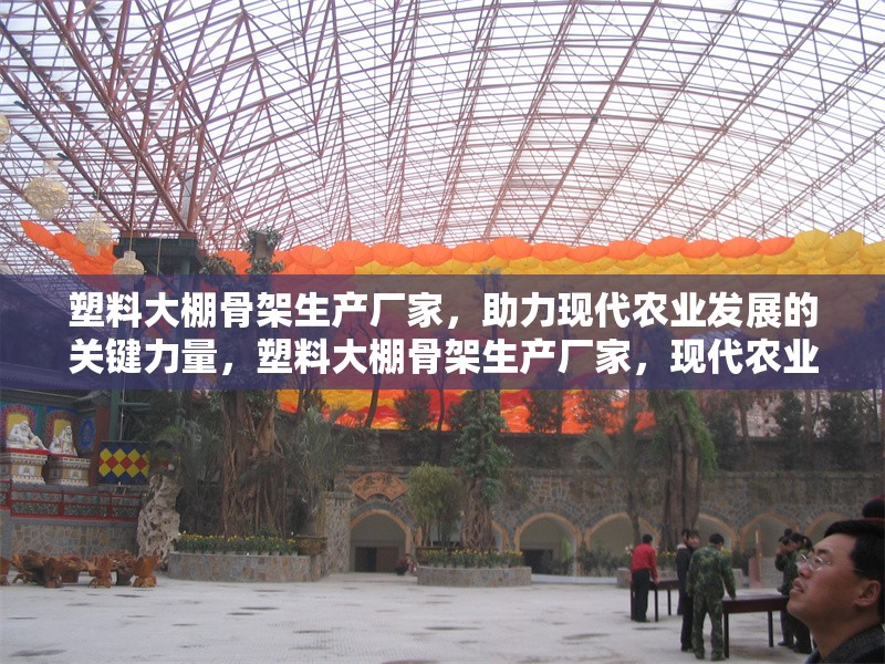 塑料大棚骨架生產(chǎn)廠家，助力現(xiàn)代農(nóng)業(yè)發(fā)展的關(guān)鍵力量，塑料大棚骨架生產(chǎn)廠家，現(xiàn)代農(nóng)業(yè)發(fā)展的核心支撐