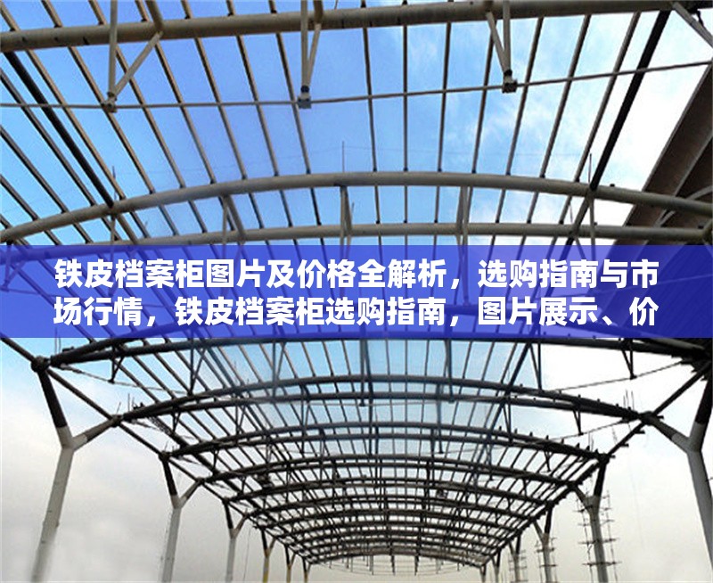 鐵皮檔案柜圖片及價(jià)格全解析，選購指南與市場行情，鐵皮檔案柜選購指南，圖片展示、價(jià)格解析與市場行情