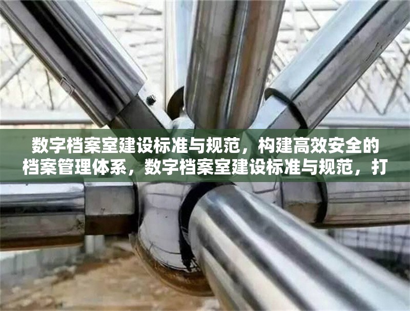 數(shù)字檔案室建設(shè)標(biāo)準(zhǔn)與規(guī)范，構(gòu)建高效安全的檔案管理體系，數(shù)字檔案室建設(shè)標(biāo)準(zhǔn)與規(guī)范，打造高效安全的現(xiàn)代化檔案管理體系