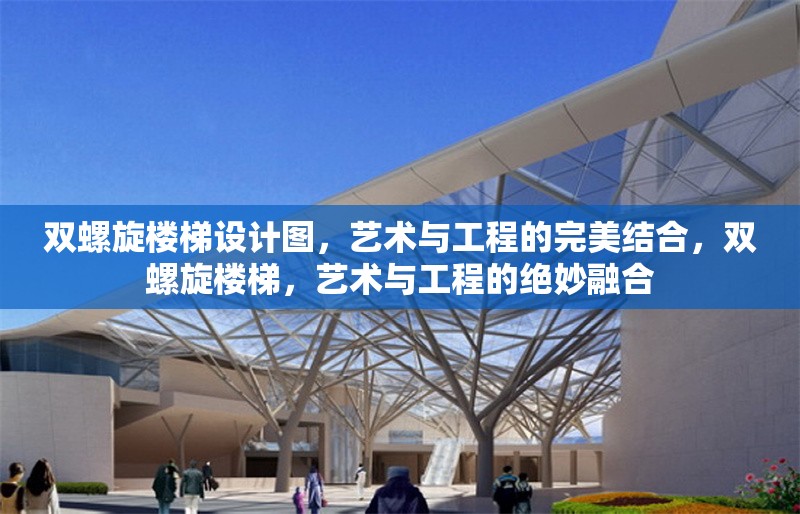 雙螺旋樓梯設(shè)計圖，藝術(shù)與工程的完美結(jié)合，雙螺旋樓梯，藝術(shù)與工程的絕妙融合