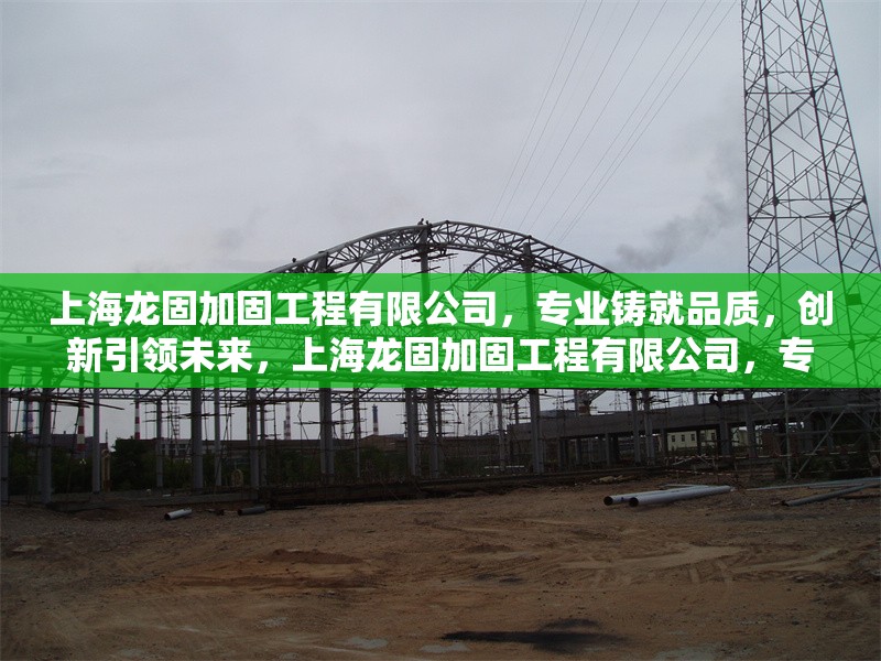 上海龍固加固工程有限公司，專業(yè)鑄就品質(zhì)，創(chuàng)新引領(lǐng)未來(lái)，上海龍固加固工程有限公司，專業(yè)鑄就品質(zhì)，創(chuàng)新引領(lǐng)未來(lái)