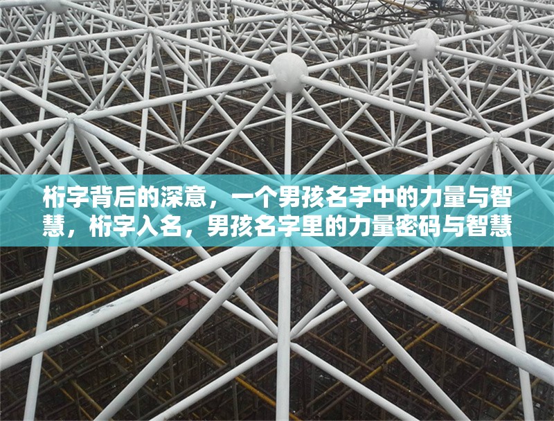 桁字背后的深意，一個男孩名字中的力量與智慧，桁字入名，男孩名字里的力量密碼與智慧圖騰 行業(yè)新聞