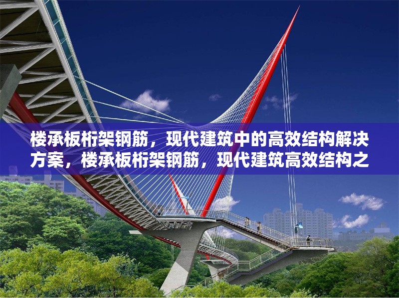 樓承板桁架鋼筋，現(xiàn)代建筑中的高效結(jié)構(gòu)解決方案，樓承板桁架鋼筋，現(xiàn)代建筑高效結(jié)構(gòu)之選 行業(yè)新聞