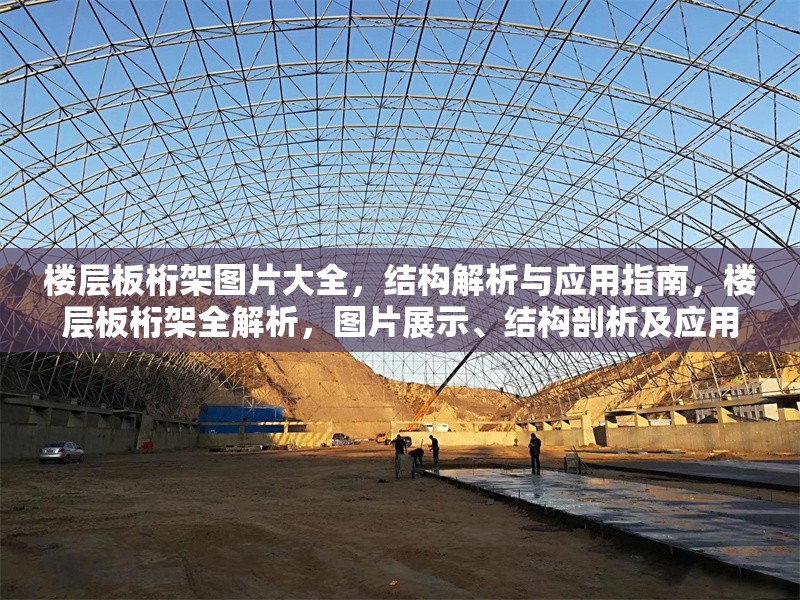 樓層板桁架圖片大全，結構解析與應用指南，樓層板桁架全解析，圖片展示、結構剖析及應用