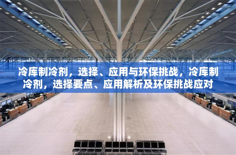 冷庫制冷劑，選擇、應用與環(huán)保挑戰(zhàn)，冷庫制冷劑，選擇要點、應用解析及環(huán)保挑戰(zhàn)應對 行業(yè)新聞