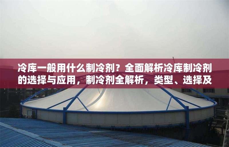 冷庫一般用什么制冷劑？全面解析冷庫制冷劑的選擇與應(yīng)用，制冷劑全解析，類型、選擇及