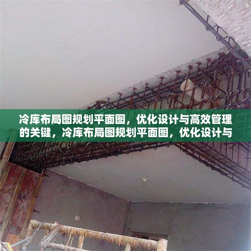 冷庫布局圖規(guī)劃平面圖，優(yōu)化設(shè)計(jì)與高效管理的關(guān)鍵，冷庫布局圖規(guī)劃平面圖，優(yōu)化設(shè)計(jì)與高效管理要點(diǎn)解析