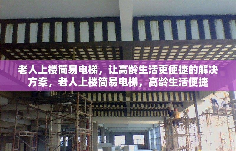 老人上樓簡易電梯，讓高齡生活更便捷的解決方案，老人上樓簡易電梯，高齡生活便捷