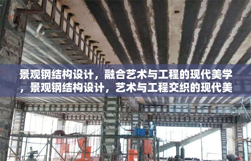 景觀(guān)鋼結(jié)構(gòu)設(shè)計(jì)，融合藝術(shù)與工程的現(xiàn)代美學(xué)，景觀(guān)鋼結(jié)構(gòu)設(shè)計(jì)，藝術(shù)與工程交織的現(xiàn)代美學(xué)華章