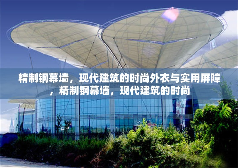 精制鋼幕墻，現(xiàn)代建筑的時(shí)尚外衣與實(shí)用屏障，精制鋼幕墻，現(xiàn)代建筑的時(shí)尚