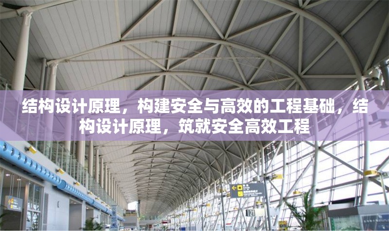 結(jié)構(gòu)設(shè)計(jì)原理，構(gòu)建安全與高效的工程基礎(chǔ)，結(jié)構(gòu)設(shè)計(jì)原理，筑就安全高效工程