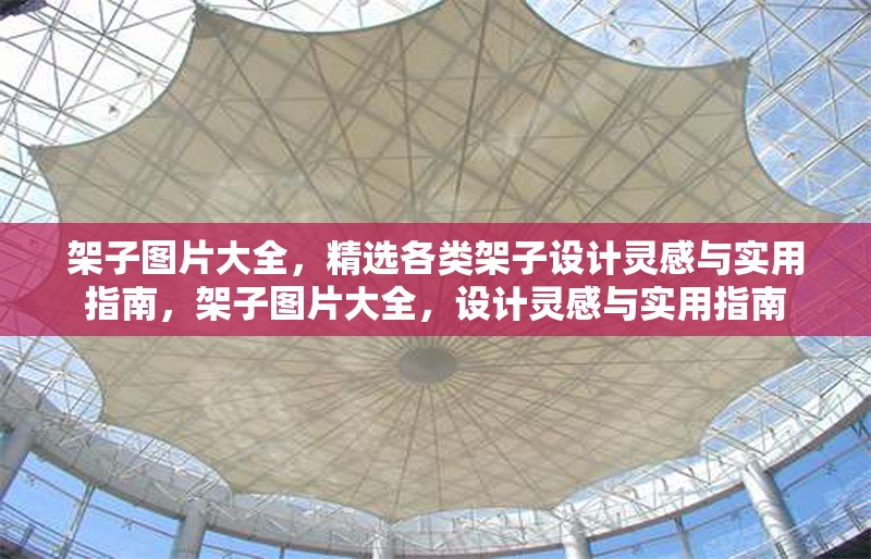 架子圖片大全，精選各類架子設(shè)計(jì)靈感與實(shí)用指南，架子圖片大全，設(shè)計(jì)靈感與實(shí)用指南