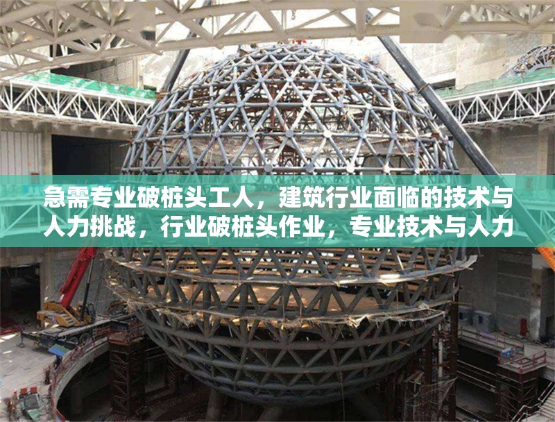 急需專業(yè)破樁頭工人，建筑行業(yè)面臨的技術(shù)與人力挑戰(zhàn)，行業(yè)破樁頭作業(yè)，專業(yè)技術(shù)與人力雙重挑戰(zhàn)下的工人需求