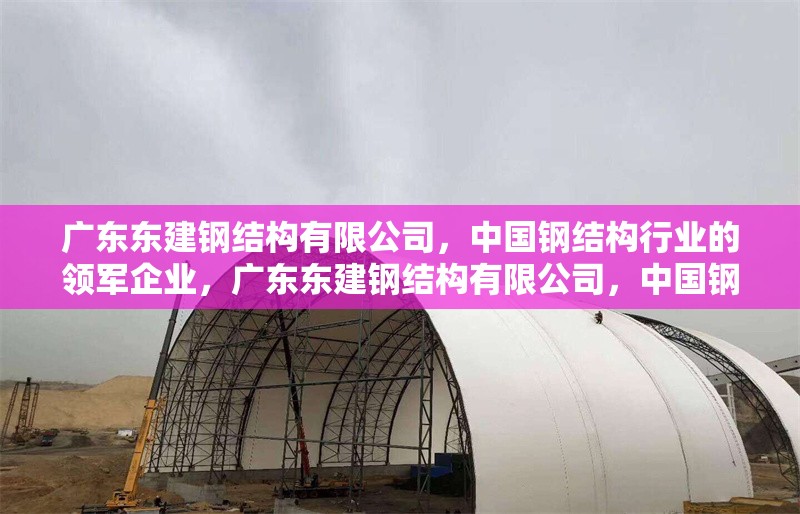 廣東東建鋼結(jié)構(gòu)有限公司，中國鋼結(jié)構(gòu)行業(yè)的領軍企業(yè)，廣東東建鋼結(jié)構(gòu)有限公司，中國鋼結(jié)構(gòu)行業(yè) 行業(yè)新聞