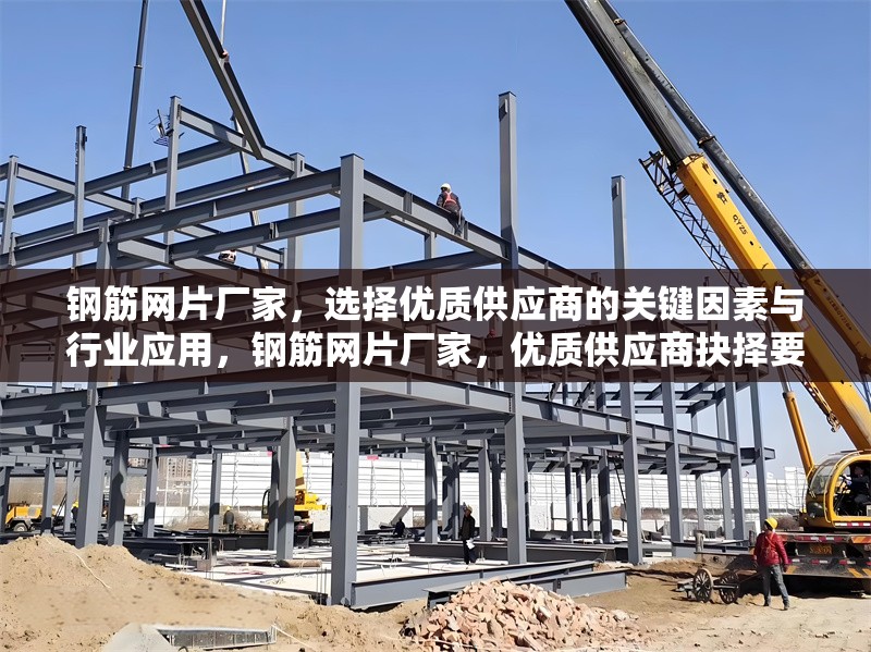 鋼筋網(wǎng)片廠家，選擇優(yōu)質(zhì)供應(yīng)商的關(guān)鍵因素與行業(yè)應(yīng)用，鋼筋網(wǎng)片廠家，優(yōu)質(zhì)供應(yīng)商抉擇要點及行業(yè)應(yīng)用全解析