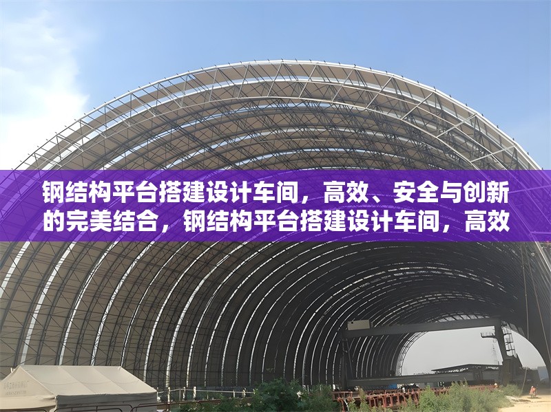 鋼結(jié)構(gòu)平臺搭建設(shè)計車間，高效、安全與創(chuàng)新的完美結(jié)合，鋼結(jié)構(gòu)平臺搭建設(shè)計車間，高效安全創(chuàng)新