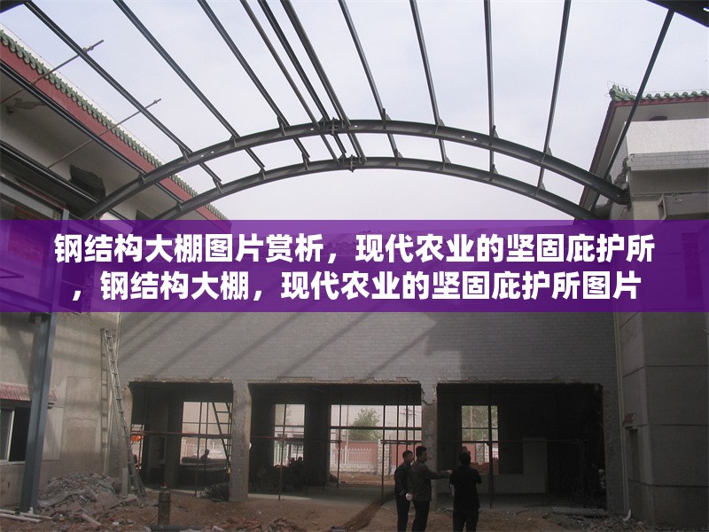 鋼結(jié)構(gòu)大棚圖片賞析，現(xiàn)代農(nóng)業(yè)的堅(jiān)固庇護(hù)所，鋼結(jié)構(gòu)大棚，現(xiàn)代農(nóng)業(yè)的堅(jiān)固庇護(hù)所圖片
