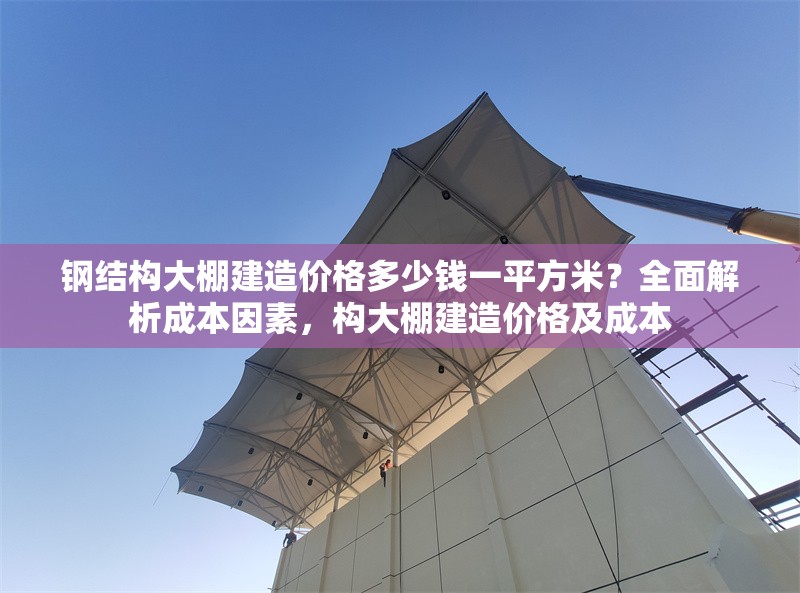 鋼結(jié)構(gòu)大棚建造價(jià)格多少錢一平方米？全面解析成本因素，構(gòu)大棚建造價(jià)格及成本 行業(yè)新聞