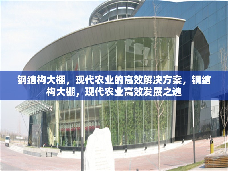 鋼結(jié)構(gòu)大棚，現(xiàn)代農(nóng)業(yè)的高效解決方案，鋼結(jié)構(gòu)大棚，現(xiàn)代農(nóng)業(yè)高效發(fā)展之選
