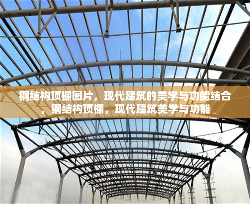鋼結(jié)構(gòu)頂棚圖片，現(xiàn)代建筑的美學(xué)與功能結(jié)合，鋼結(jié)構(gòu)頂棚，現(xiàn)代建筑美學(xué)與功能