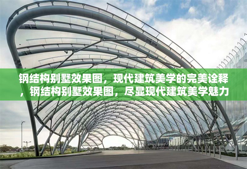 鋼結(jié)構(gòu)別墅效果圖，現(xiàn)代建筑美學(xué)的完美詮釋，鋼結(jié)構(gòu)別墅效果圖，盡顯現(xiàn)代建筑美學(xué)魅力