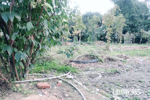 土地增值稅稅率如何確定，土地增值稅稅率確定方法及影響因素詳解 行業(yè)新聞 第4張