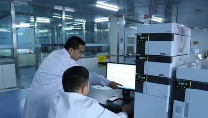 現(xiàn)場檢測法與實驗室測試法比較，現(xiàn)場檢測法與實驗室測試法的優(yōu)劣對比及適用場景分析 行業(yè)新聞 第5張