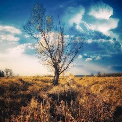 項目經理責任制成功經驗，項目經理責任制，成功經驗與實踐之道 行業(yè)新聞 第2張