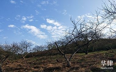 土地使用權(quán)攤銷(xiāo)稅務(wù)處理指南，土地使用權(quán)攤銷(xiāo)稅務(wù)處理，明晰要點(diǎn)與 行業(yè)新聞 第2張