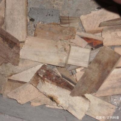 建筑加固材料成本控制策略，建筑加固材料成本控制策略，優(yōu)化投入，筑牢安全防線 行業(yè)新聞 第2張