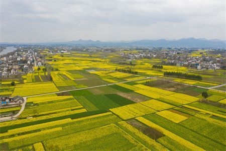 建筑加固技術(shù)的國(guó)際對(duì)比，建筑加固技術(shù)，國(guó)際差異與比較