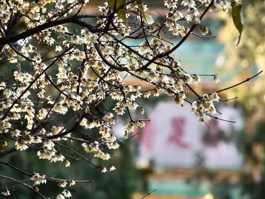 老舊廠房改造的環(huán)保措施，老舊廠房改造中環(huán)保舉措的多元探索 行業(yè)新聞 第2張