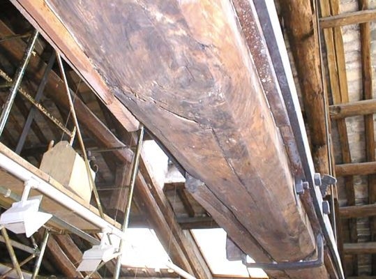 建筑加固后的病蟲害防治，建筑加固后病蟲害防治策略與實踐 行業(yè)新聞 第3張