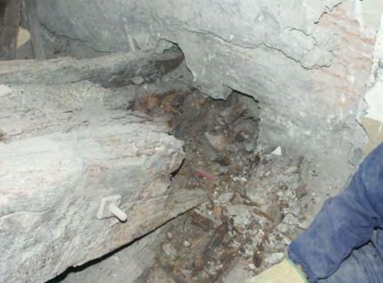 建筑加固后的病蟲害防治，建筑加固后病蟲害防治策略與實踐 行業(yè)新聞 第1張