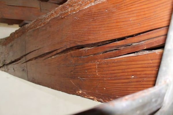 建筑加固后的病蟲害防治，建筑加固后病蟲害防治策略與實踐 行業(yè)新聞 第4張