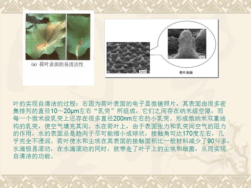 納米材料加固技術(shù)原理，納米材料加固技術(shù)，微觀原理與作用