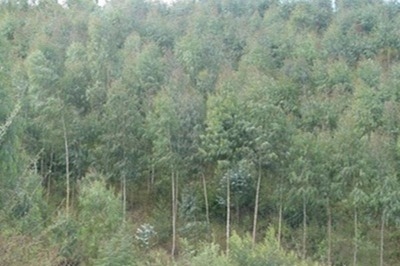 碳纖維材料環(huán)境適應(yīng)性評(píng)價(jià)標(biāo)準(zhǔn)，碳纖維材料環(huán)境適應(yīng)性評(píng)價(jià)標(biāo)準(zhǔn)，性能、應(yīng)用與可持續(xù)發(fā)展考量 行業(yè)新聞 第1張