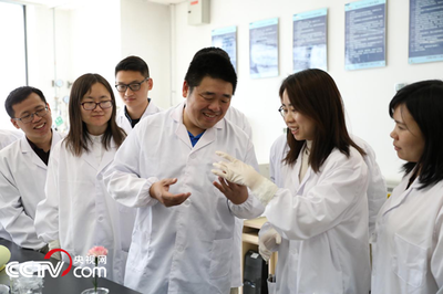 碳纖維布高溫力學性能變化，碳纖維布高溫下力學性能演變探究 行業(yè)新聞 第3張