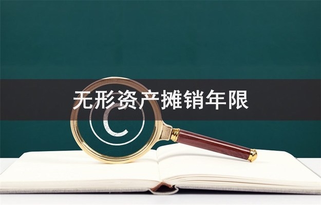 稅法下攤銷年限的案例分析，稅法攤銷年限案例剖析，規(guī)則應(yīng)用 行業(yè)新聞 第2張