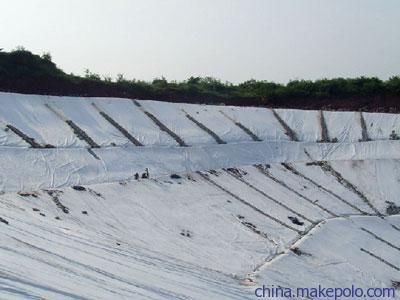 建筑加固對生態(tài)平衡的具體影響，加固，探尋其對生態(tài)平衡的具體影響 行業(yè)新聞 第3張