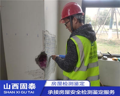 抗震加固技術的國際比較，抗震加固技術，國際差異與比較分析 行業(yè)新聞 第6張