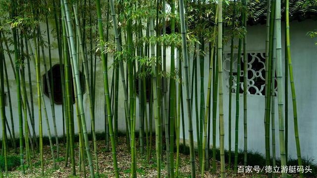 建筑模板材料環(huán)保性能比較，建筑模板材料環(huán)保性能對(duì)比分析 行業(yè)新聞 第4張