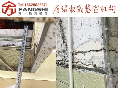 如何判斷建筑裂縫是否嚴(yán)重？建筑裂縫嚴(yán)重性判斷指南，關(guān)鍵方法與注意事項(xiàng) 行業(yè)新聞 第3張